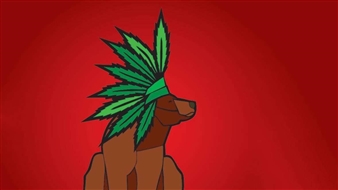 Alberta Cree Artist Criticized for Magazine Illustrations of a Bear in this Headdress