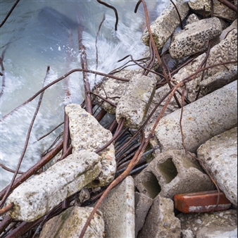 Ryan Pechnick - Abbozzo Gallery