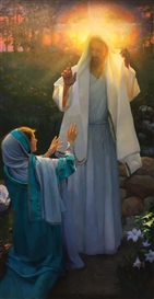 Inspirations for the Fourteen Stations ﻿of the Cross