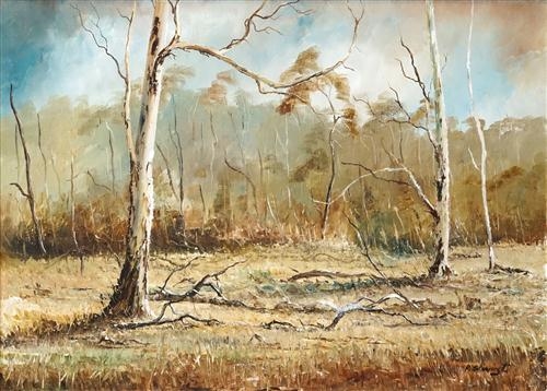 Cullen Bullen Lanscape by Patrick Shirvington