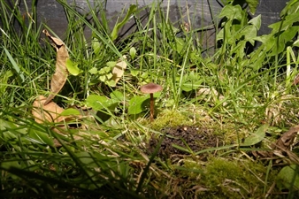 Resanita: Das Haus als Wirt - Kunst Haus Wien