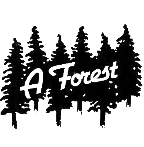 A Forest | Exhibitions | MutualArt