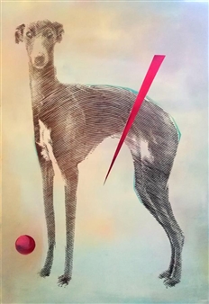 Greyhound - Kamil Kmiecik