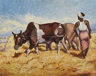 Man In Pink Sarong Tending Buffalo - U Saw Maung