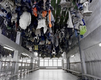 State of Suspension: the “Relentless, Never-Ending Struggle to Adapt”