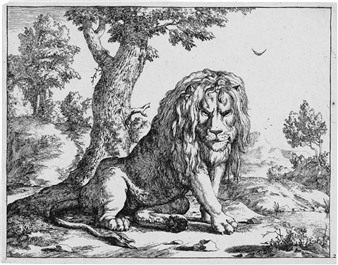 8 works, Die Folge der Löwen Picture