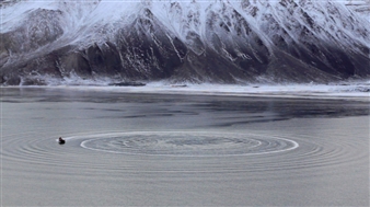 Lukas Marxt: Reign of Silence - Torrance Art Museum