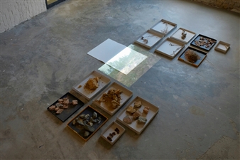 Susanne Kriemann: Canopy, canopy - The Wattis Institute