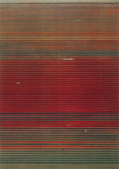 Untitled XVIII by Andreas Gursky, 2016