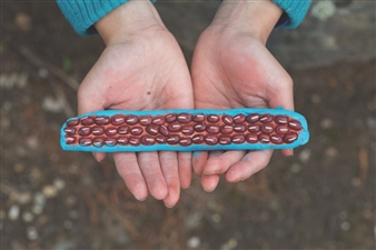 Mixrice: Migrating Flavours - Eastside Projects