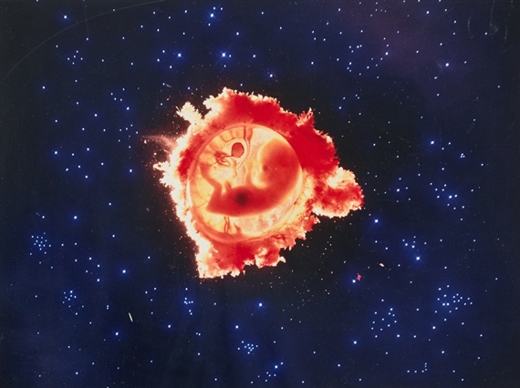 Rymdfararen by Lennart Nilsson