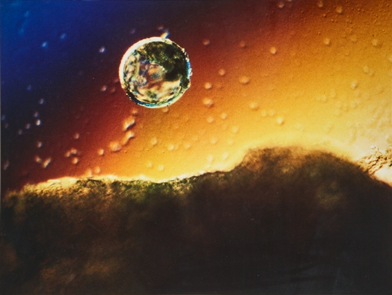 Jorden och månen by Lennart Nilsson