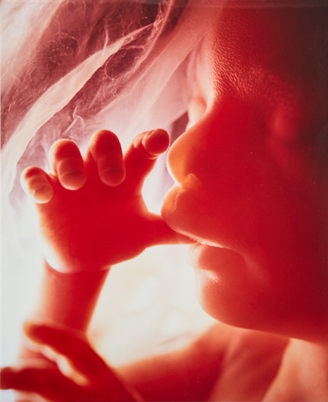 Tumsugaren by Lennart Nilsson