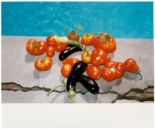 Wolfgang Tillmans | Kate Sitting (1996) | MutualArt