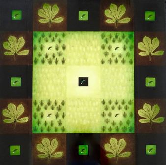 Backyard Bird Sanctuary Huia 1 - Nic Moon