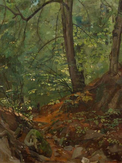 Forest interior (Le Nant de Frontenex)