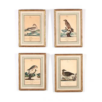 4 Works: Avian - William Goodall