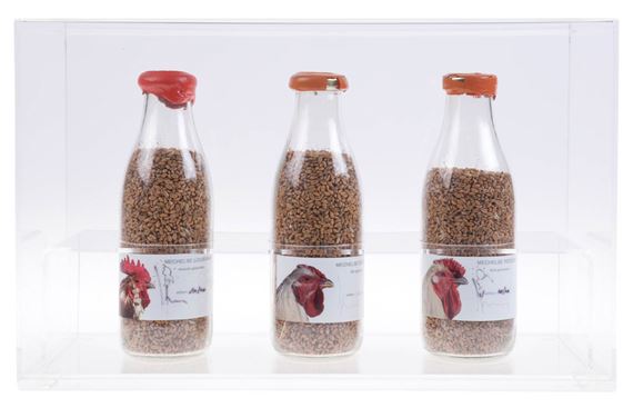 Untitled by Koen Vanmechelen, 2010