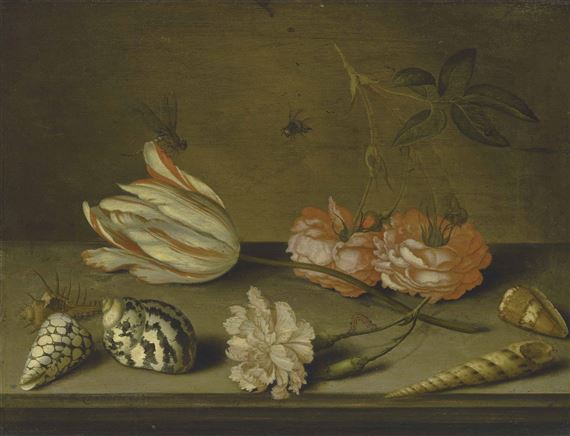 A Semper Augustus tulip, a carnation and roses, with shells and insects, on a ledge by Balthasar van der Ast