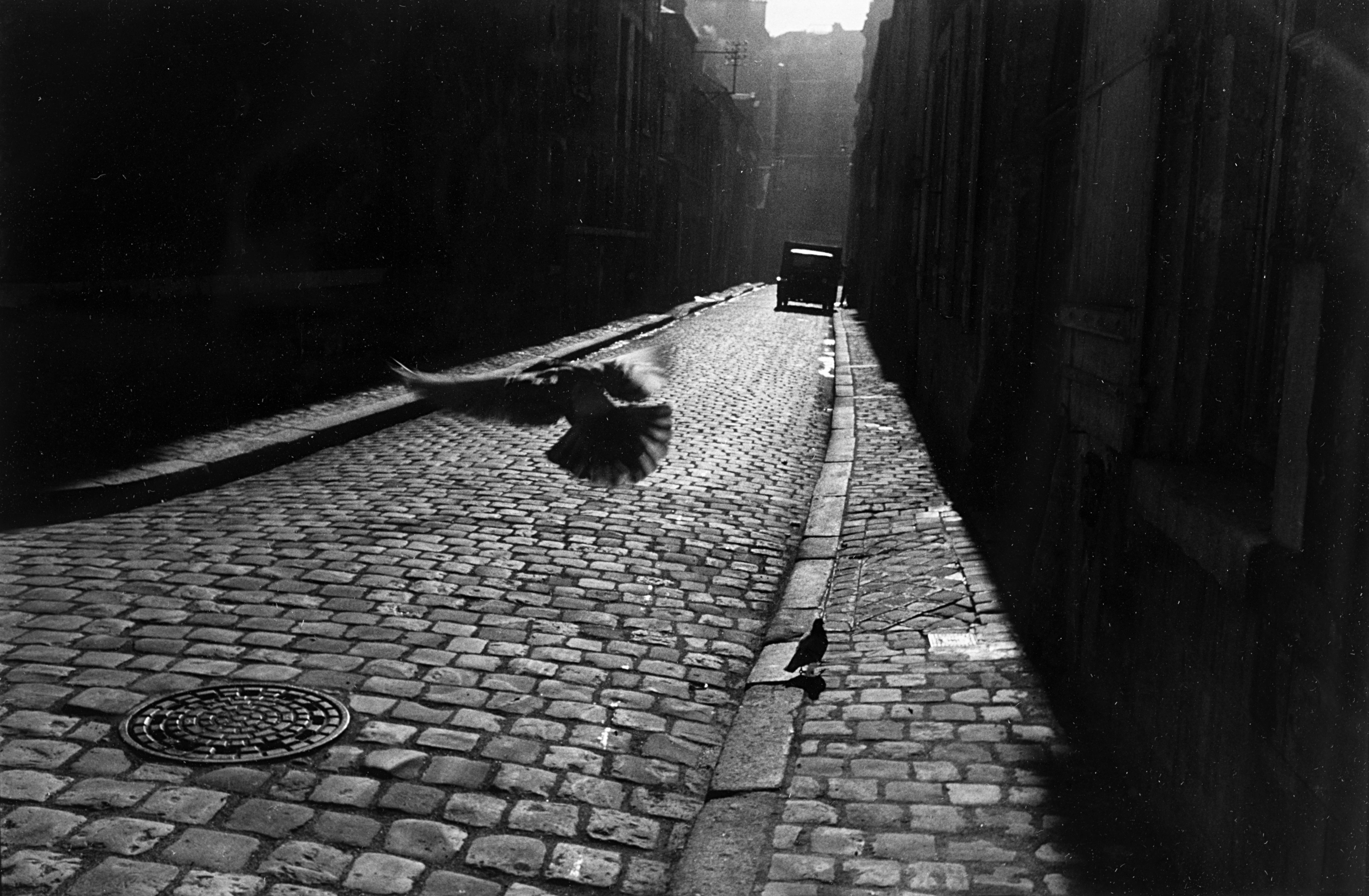 Broken streets. Эллиот фотограф. Эллиотт Эрвитт, Франция, 1928. Эллиотт Эрвитт фотограф. Преследовать черно белая.