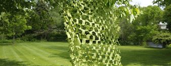 Parentheses - David Nolan