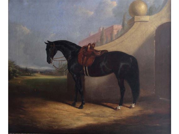 Robert Nightingale A DARK BAY WITH A SIDE SADDLE MutualArt