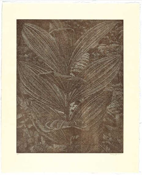 Gelber Enzian (Sepia) by Franz Gertsch, 2003