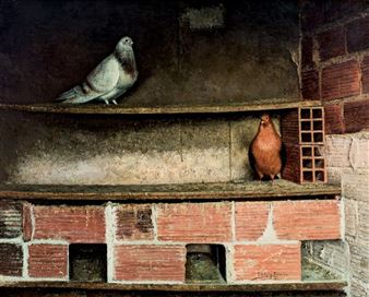 Palomar improvisado - Eugenio López