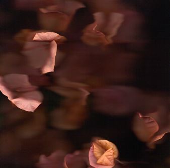 Erik Benjamins: Forgetting the Words - River