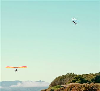 Flight of Fancy - Panopticon Gallery