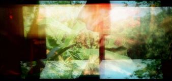 On the periphery of vision - Jane Lombard Gallery