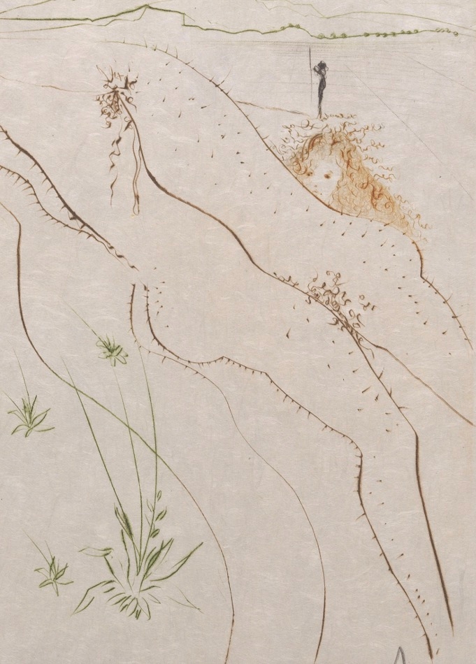 Salvador Dalí Le Tonneau (1972) MutualArt