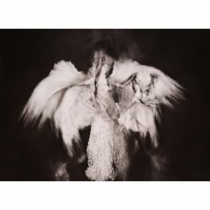 Les Bras - Thomas Devaux