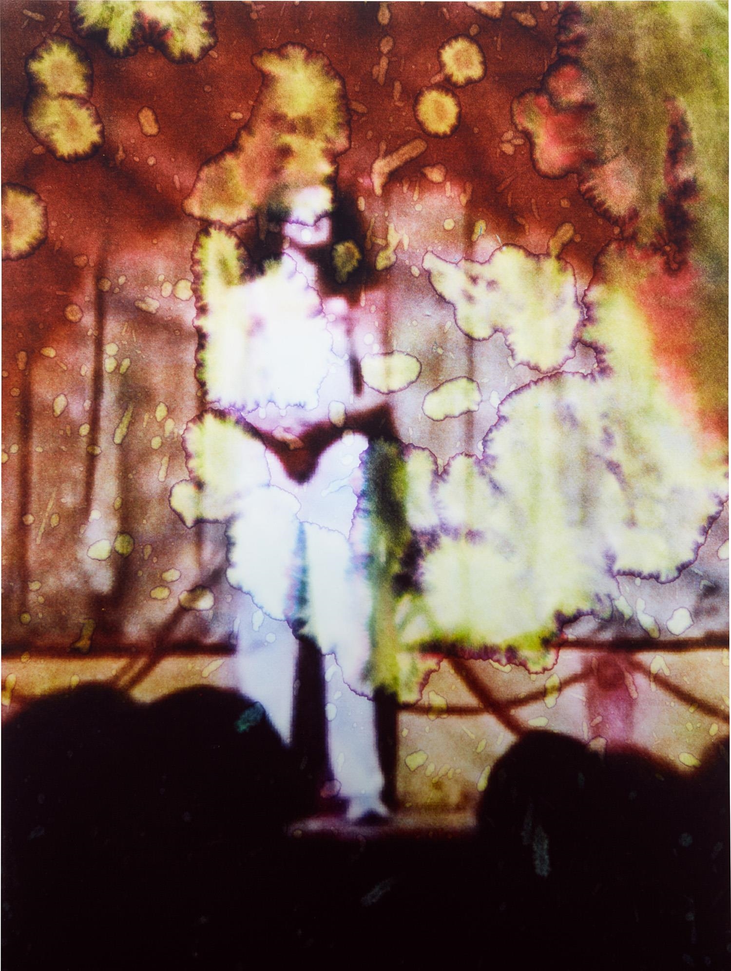 Artwork by Sara Greenberger-Rafferty, Stage (Gilda), Made of chromogenic print, mounted on Plexiglas