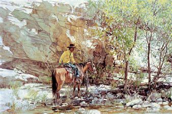 The Medicine Man - Ross Stefan