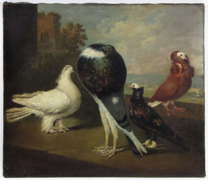 Italian School, 18th Century | Exotic Flaunting Birds | MutualArt