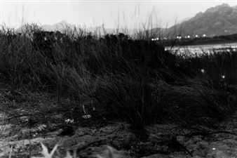 Presenze - Marina Ballo Charmet