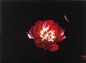 L'ebrezza del rosso - Zambon Romana