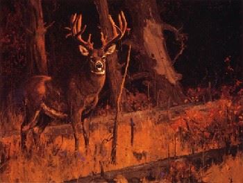 The Cautious One by Luke Frazier