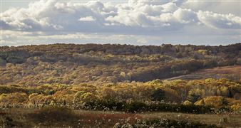 Maine Farmland Trust 2018 Summer Stable Show