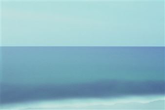 Rafael Y. Herman Pushes Our Perspective on the Natural World