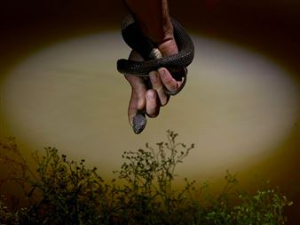 Jeff Whetstone:  Batture Ritual - Julie Saul Gallery