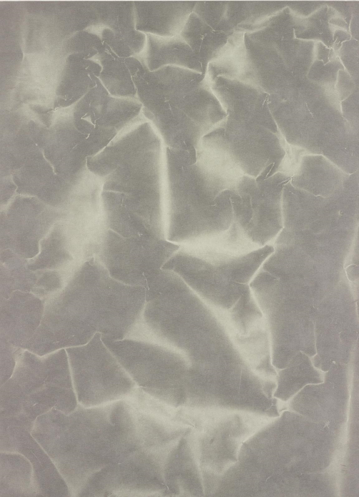 Tauba Auerbach | Plate Distortion II (2011) | MutualArt