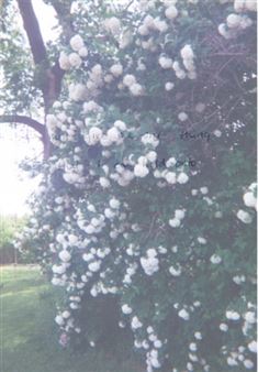 Change, Exchange, Interchange - Lamar Dodd School of Art Galleries, University of Georgia