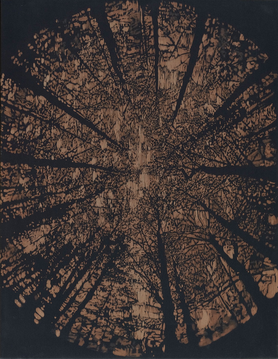 David Noonan | Untitled (2004) | MutualArt