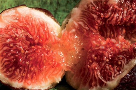 Meet the Artists Using Their Work to Fight Against Climate Change