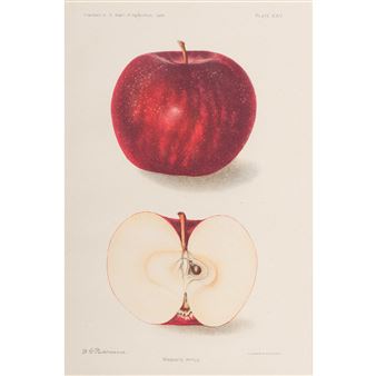 The Americana Collection of the Late Julie Smart with Select Additions: Cleveland Discovery Auction - Cowan's Cleveland