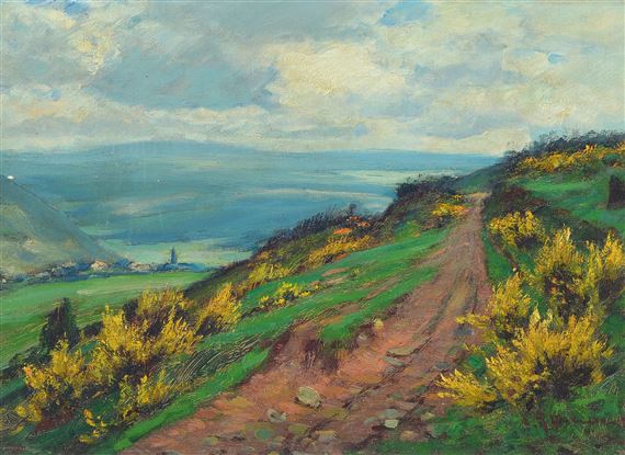 Blossoming Broom in the Eifel by Adolf Rheinert