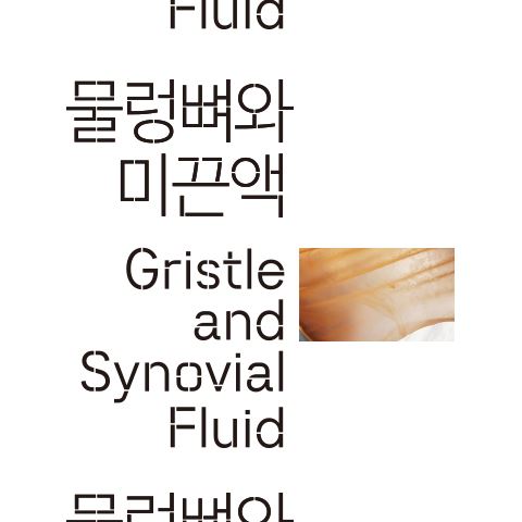 Youngzoo Im: Gristle and Synovial Fluid - DOOSAN Gallery