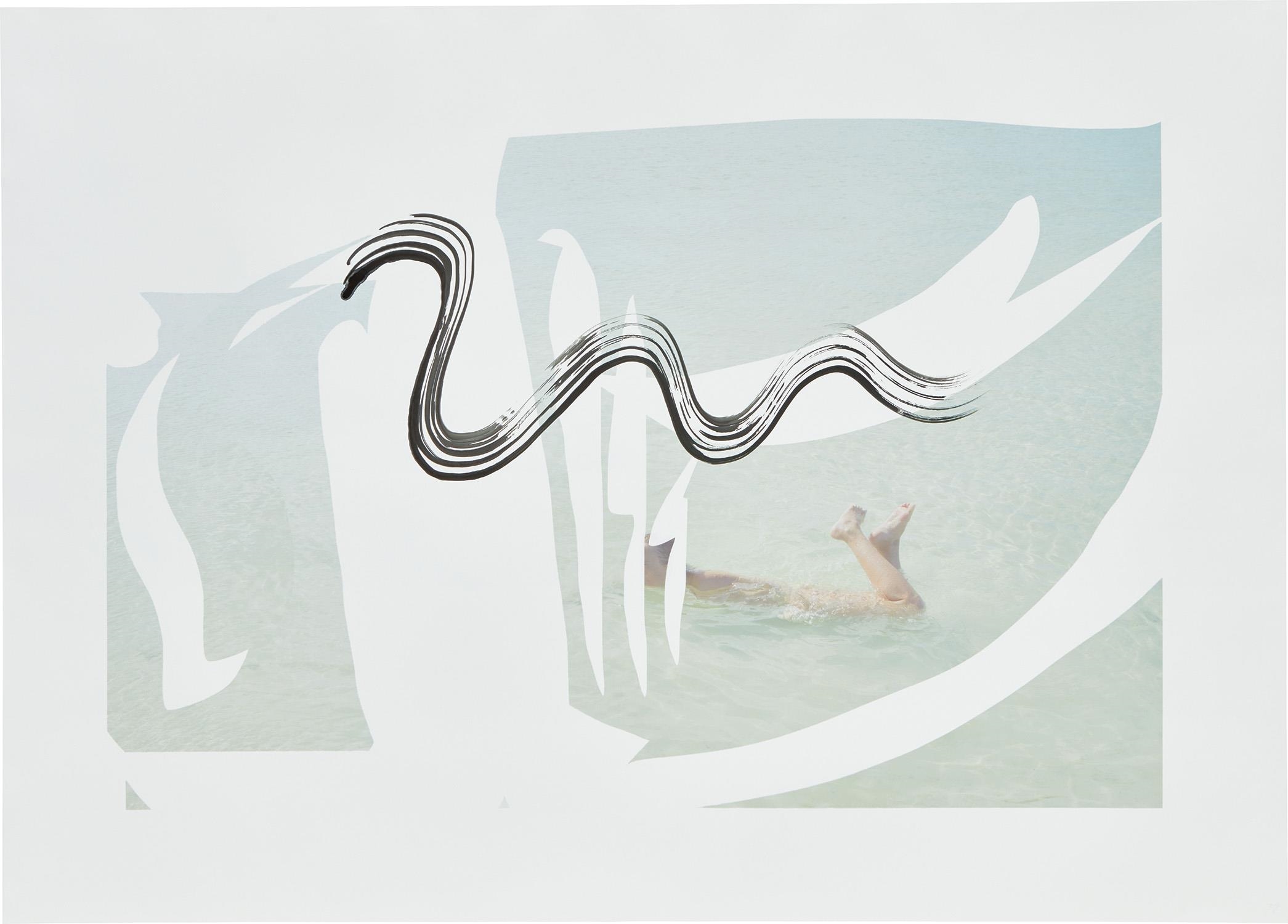 Artwork by Camille Henrot, Untitled (Tropics of Love series), Made of Chinese ink on inkjet print